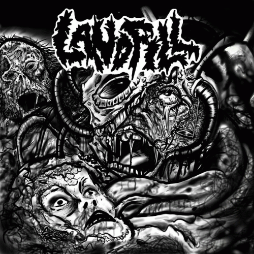 Landfill : Salacious Transfiguration